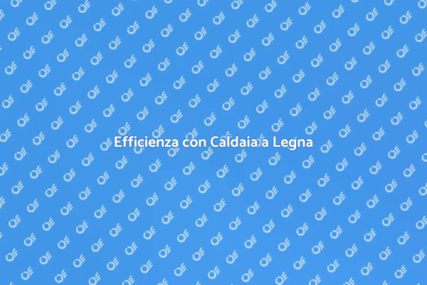 Manutenzione Efficiente con Caldaia a Legna
