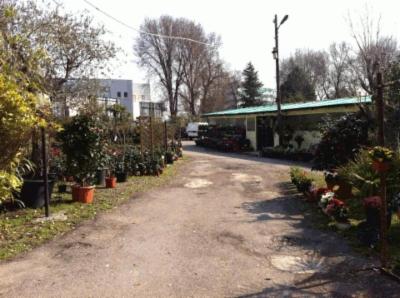 Il Vasaio  - Foto 3