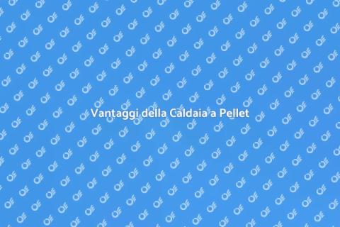 Caldaia Tradizionale a Pellet: Vantaggi