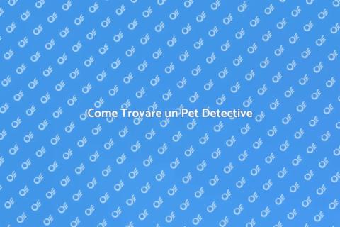 Assumere un Pet Detective: Guida