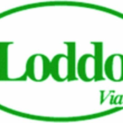 Loddo Lista Nozze M.G.G. Sas