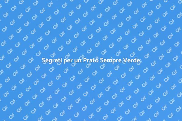 Come Mantenere un Prato Ideale