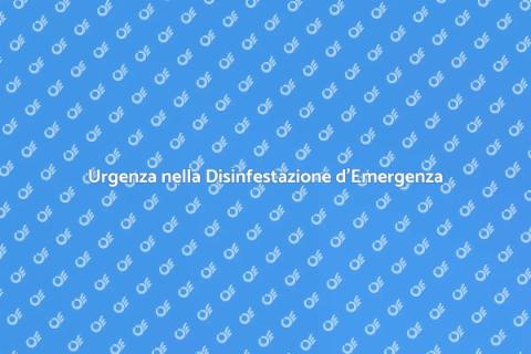 Disinfestazione d'Emergenza Necessaria