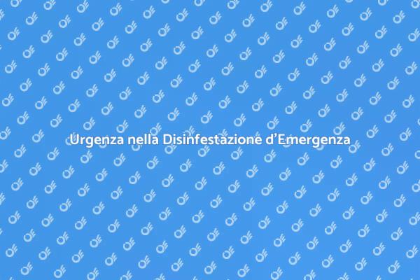 La Necessità di Disinfestazione Immediata