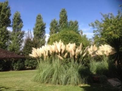 Longo Giardinaggio  - Foto 5