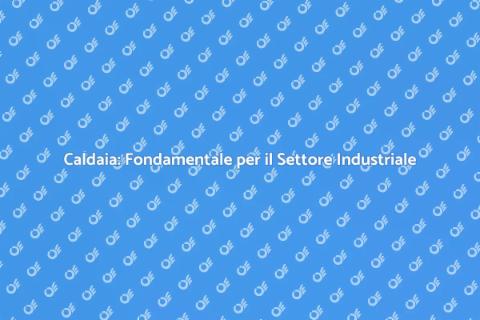Installazione Caldaia Complesso Industriale