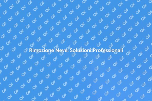 Servizi Professionali di Rimozione Neve