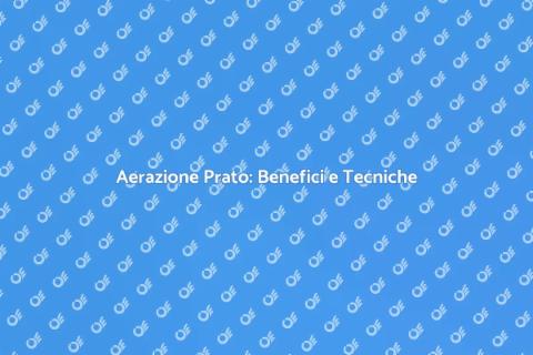 Aerazione del Prato: Guida Completa
