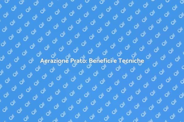Aerazione del Prato: Perfeziona il Tuo Giardino