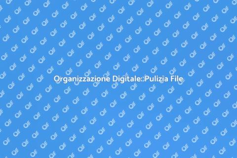 Pulizia Professionale File e Archivi