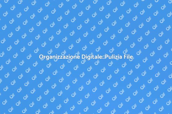Pulizia e Organizzazione dei Documenti