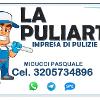 LA PULIART IMPRESA DI PULIZIE