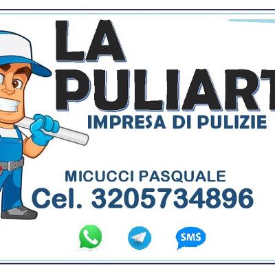 LA PULIART IMPRESA DI PULIZIE