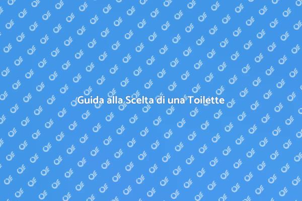 Come Mettere una Toilette in Casa