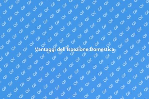 Ispezione Domestica: Perché Farla?