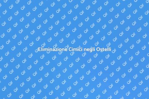 Disinfestazione Cimici per Ostelli