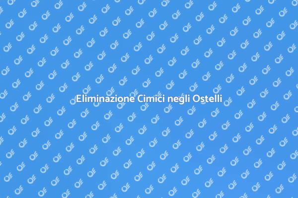 Proteggi i Tuoi Ospiti dalle Cimici