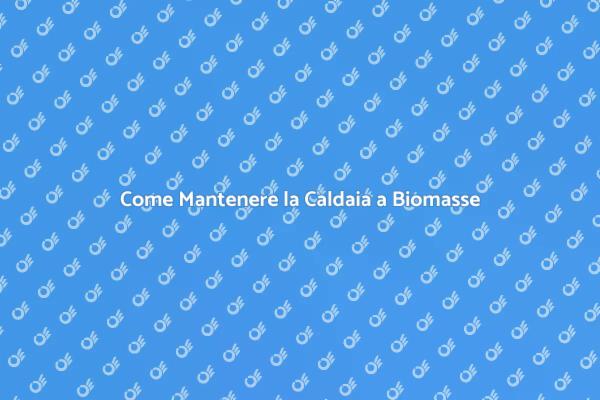 Manutenzione Ottimale Caldaia Biomasse