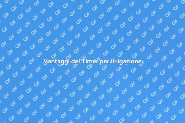 Perché Usare un Timer per Irrigazione?