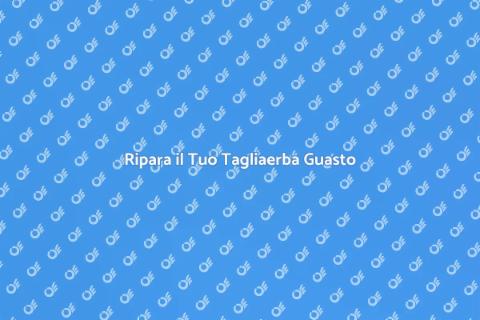 Rimettere in Sesto un Tagliaerba