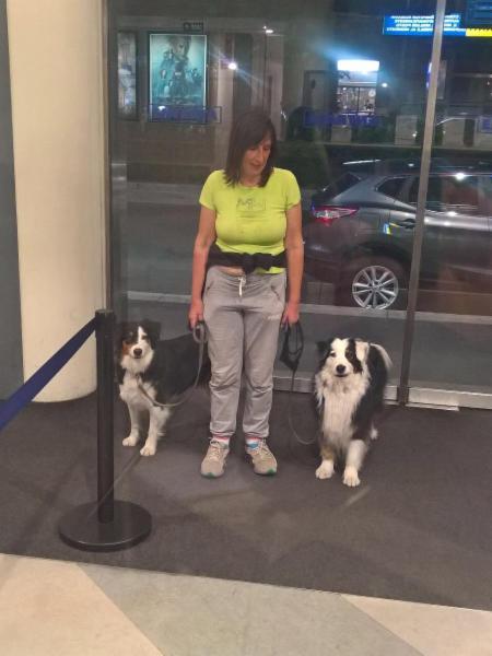 Lauretta Vicari Smiling Dogs - Foto 1