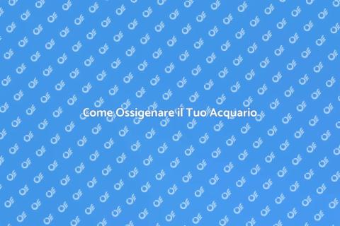 Aerazione Acquario: Guida Essenziale