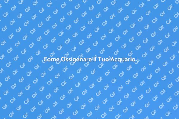 Aerazione Acquario: Importanza e Metodi