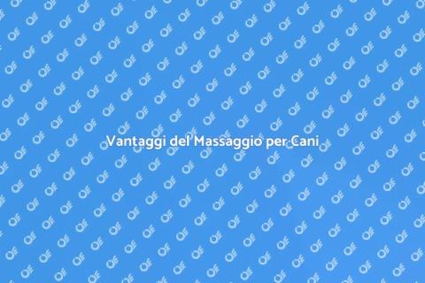 Massaggiatore per Cani: Benessere Fisico