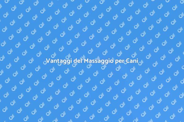 Il Massaggio Canino e il Suo Valore