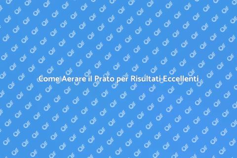 Aerare il Prato per Radici Sane