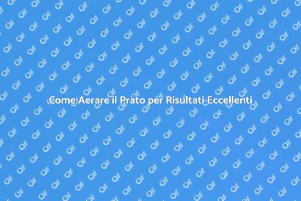 Aerazione del Prato: Vantaggi e Tecniche