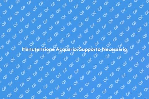 Supporto Tecnico per Acquario Efficace