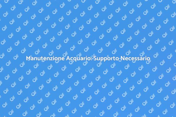 Perché Scegliere un Supporto Tecnico per il Tuo Acquario