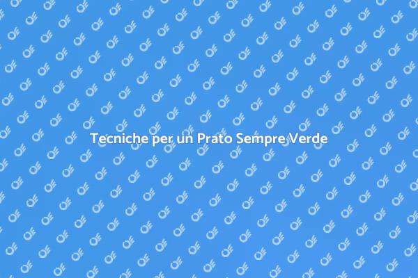 Prato Verde: Segreti per la Manutenzione