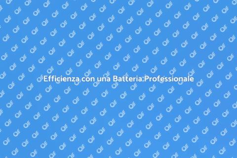 Batteria Professionale per Ogni Attività