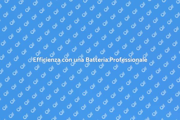 Il Vantaggio di Usare una Batteria Professionale