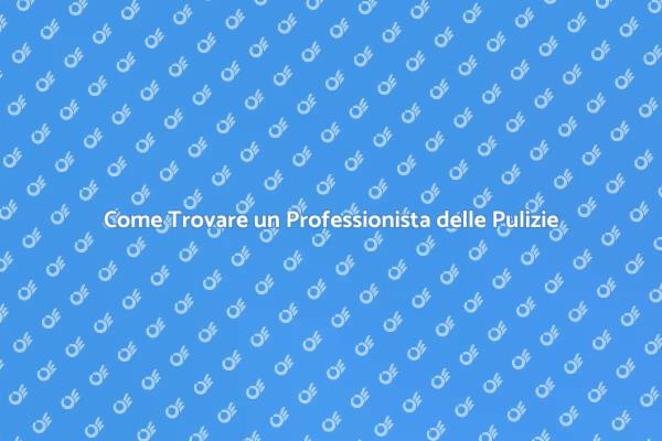 Trova un Professionista per le Pulizie