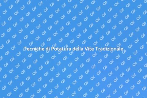 Potare la Vite con Metodo Tradizionale