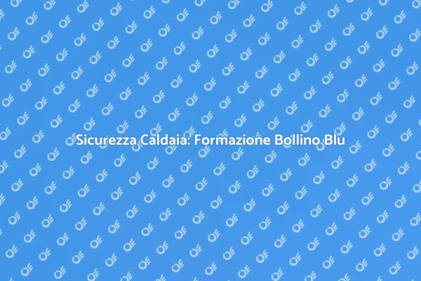 Bollino Blu: La Formazione Necessaria