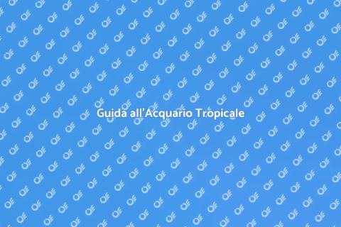 Allestimento Acquario Tropicale
