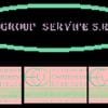 Puligroup Service 