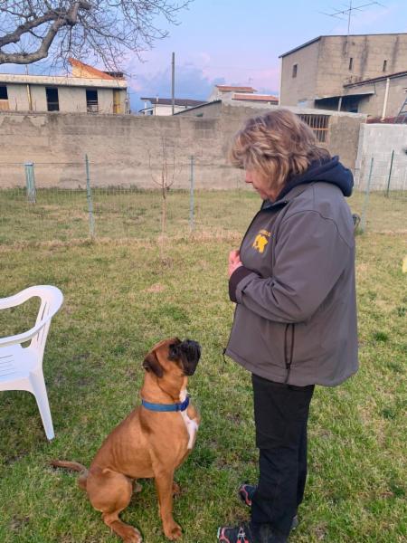 mariarosaria V. - Foto 5
