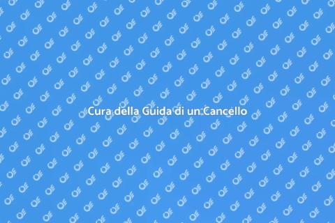 Manutenzione Cancello Automatico