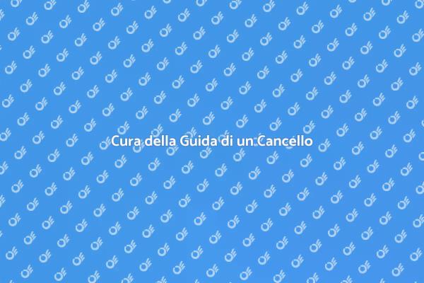 Guida alla Manutenzione del Cancello