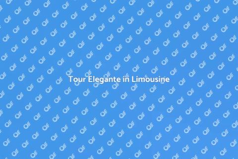 Noleggiare Limousine con Autista