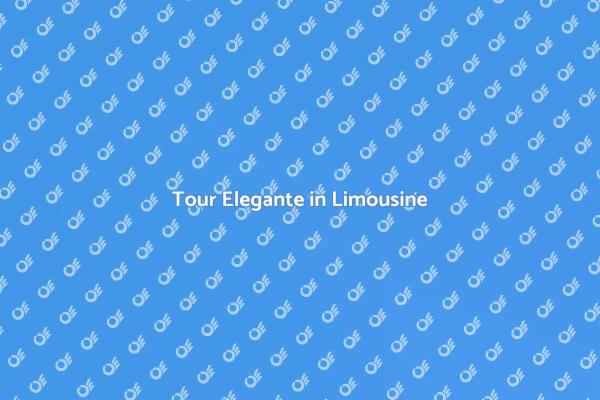 Scopri la Città in Limousine