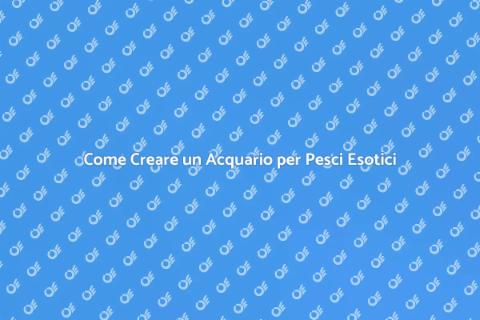 Acquario per Pesci Esotici: Guida Completa