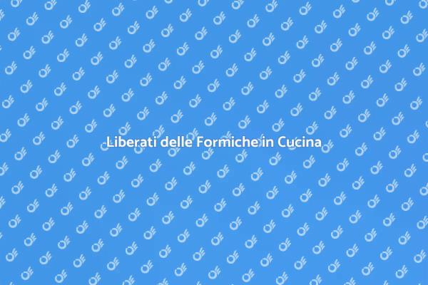 Come Rimuovere le Formiche in Cucina