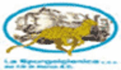 La Spurgoigienica Sas  - Foto 1