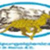 La Spurgoigienica Sas 